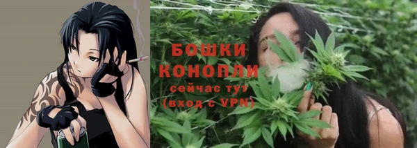 spice Балабаново