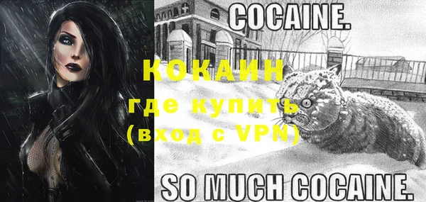 крисы Баксан