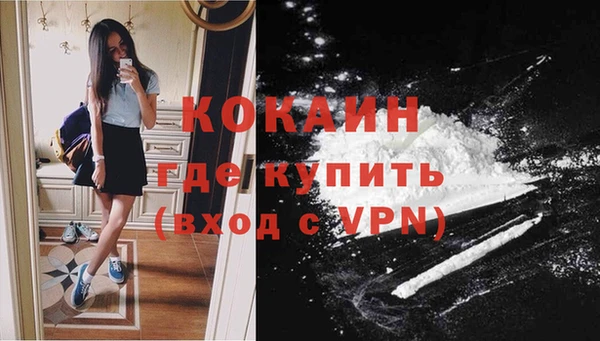 ПСИЛОЦИБИНОВЫЕ ГРИБЫ Белоозёрский