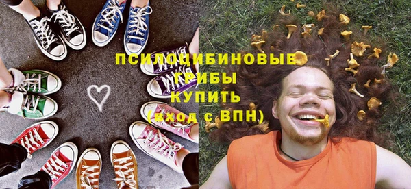 крисы Баксан