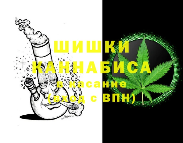 крисы Баксан