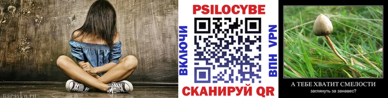 Псилоцибиновые грибы Cubensis  мега ТОР  Нерюнгри 