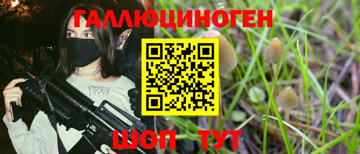 Псилоцибиновые грибы GOLDEN TEACHER Нерюнгри